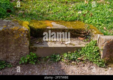 Alte Sandsteintreppen führen ins Gras Stockfoto