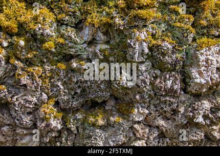 Abstrakt raue Zement und Beton Textur mit Moos überwuchert und Flechten machen es wie eine Berglandschaft Hintergrund aussehen Stockfoto