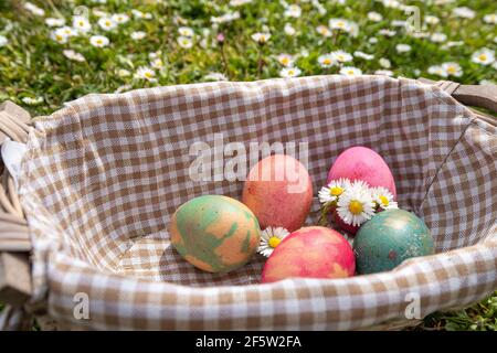 Osterschatzjagd Konzept. Gefärbte Eier mit Gänseblümchen in einem Weidenkorb. Eine Wiese voller Gänseblümchen im Hintergrund. Stockfoto