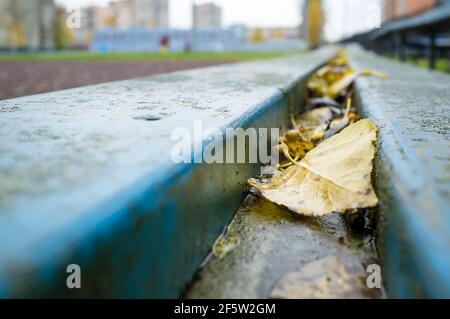 Gefallene gelbe Blätter liegen auf einer Holzbank vor dem verschwommenen Hintergrund des Stadions. Stockfoto