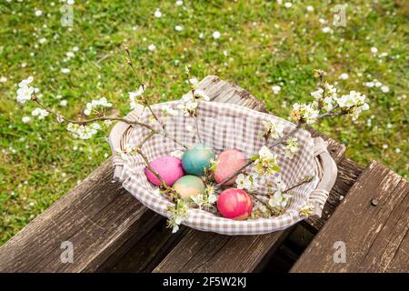 Frühling und Osterkonzept. Ein Weidenkorb gefüllt mit naturfarbenen Eiern und Pflaumenblütenzweigen auf einem Holztisch. Ein Garten voller Gänseblümchen Stockfoto