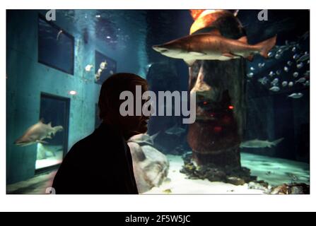 PETER BENCHLEY AUTOR VON KIEFER VOR DEM HAIFISCHBECKEN IM LONDONER AQUARIUM, UM WILDAID'S KAMPAGNE ZU STARTEN, UM DIE WÖRTER HAIE ZU SCHÜTZEN. Stockfoto