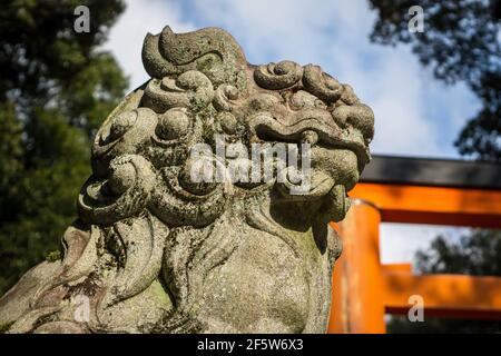 Eine komainu Löwenhund-Statue, die den Eingang zum Kasuga Taisha Grand Shrine bewacht, einem großen schintoistischen Schrein in Nara, Japan Stockfoto