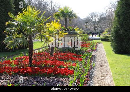 Frühlingshafte Sonne in den eleganten Avenue Gardens im Regents Park, North London, Großbritannien Stockfoto