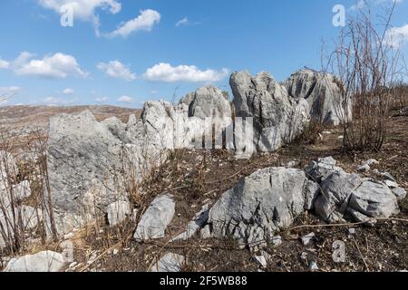 Karst nach der jährlichen Verbrennung im Akiyoshi-dai quasi Nationalpark, Japan Stockfoto