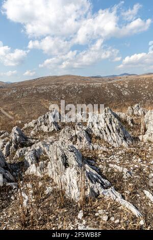 Karst nach der jährlichen Verbrennung im Akiyoshi-dai quasi Nationalpark, Japan Stockfoto