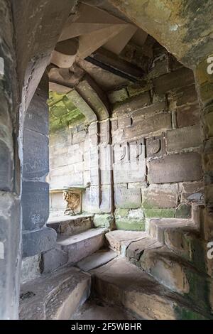 Familienwappen in die Treppenmauer geschnitzt, im Großen Turm, Ashby de la Zouch Castle, Leicestershire, England, Großbritannien Stockfoto