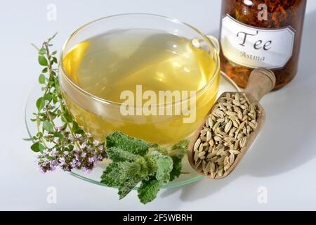 Asthmatee, Horehound, Thymian, Fenchel (Foeniculum vulgaris) (Marrubium vulgaris) Stockfoto