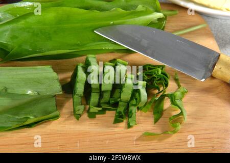 Produktion Bärlauch-Butter (Allium ursinum), Bärlauch-Butter Stockfoto