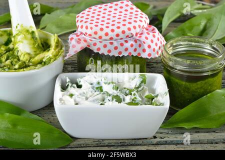 Herstellung von Bärlauch-Butter (Allium ursinum), Bärlauch-Butter, Bärlauch-Pesto, Bärlauch-Quark Stockfoto