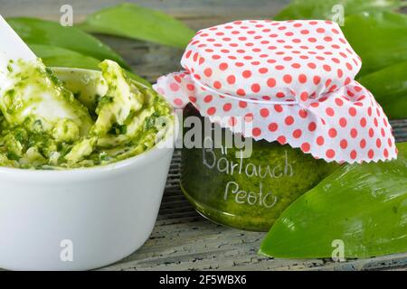 Herstellung von Bärlauch-Butter (Allium ursinum), Bärlauch-Butter, Bärlauch-Pesto Stockfoto