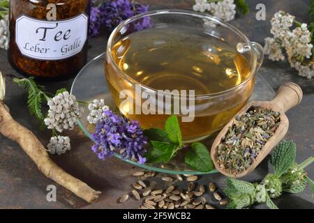 Leber- und Gallentee (Löwenzahnwurzel) Lavendelblüten, Mariendistelfrucht (Silybum marianum), Pfefferminzblätter, Pfefferminze, Schafgarbe, Horehund Stockfoto