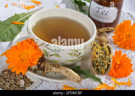 Cholesterin regulierender Tee, Löwenzahn Blätter (Taraxacum officinale) (Löwenzahn Wurzel), Ringelblume (Calendula officinalis), Seifenwurzel (Saponaria Stockfoto