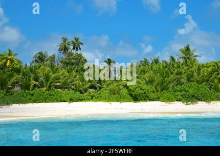 Kokospalmen am Sandstrand der Insel Grande Soeur in der Nähe von La Digue, Indischer Ozean, Seychellen. Stockfoto