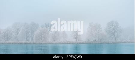 Panorama auf den gefrorenen See und schneebedeckte Bäume. Saisonale Winterlandschaft, idyllisch ruhige, beruhigende Naturkulisse. Nebliger Morgen, Blick auf den Winter Stockfoto