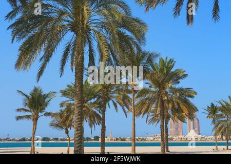 Wunderschöner Strand mit traumhaften Palmen und Blick auf die verschwommene Skyline von Abu Dhabi, Vereinigte Arabische Emirate. Stockfoto
