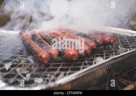 Grillen von Würstchen auf dem Einweg-Instant-Grill. Grillen Picknick in der Natur umgeben von Wald und Kiefern Stockfoto