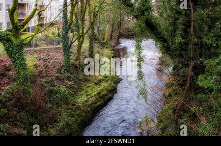 Der West Okement River, der in Richtung einer Kreuzung mit dem East Okement River in der Stadt Okehampton, Devon, Großbritannien, fließt. Stockfoto