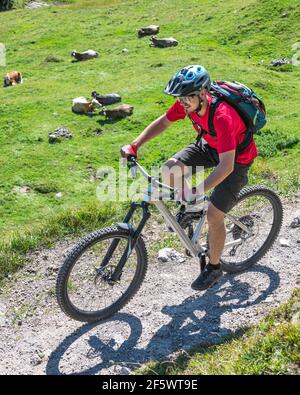 Mountainbiker radeln auf Singletrail Stockfoto