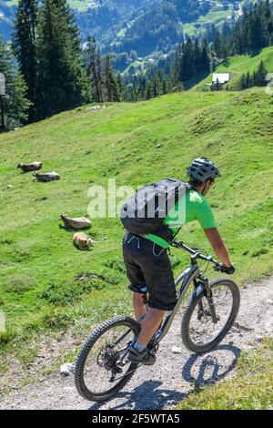 Mountainbiker radeln auf Singletrail Stockfoto