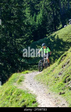 Mountainbiker radeln auf Singletrail Stockfoto