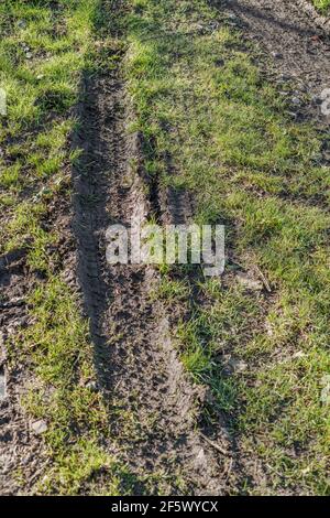 Reifenmarkierung auf nassem Gras auf der Country Track. Metapher um die Kurve, Kurswechsel, Richtungswechsel, vom Gras fernhalten, schlammiger Weg. Stockfoto