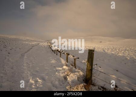 Auf dem Weg nach Hart fiel von Devil's Beef Tub, Moffat, schneebedeckten Hügeln, Dumfries und Galloway, SW Schottland. Stockfoto