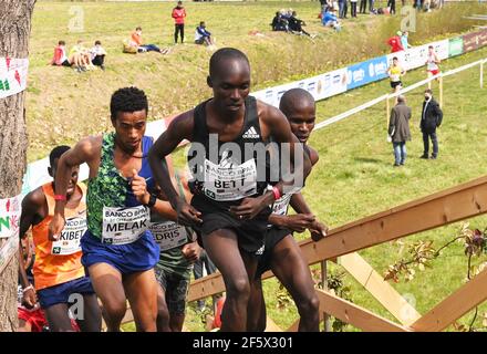 Mailand, Italien. März 2021, 28th. San Vittore Olana, Italien FÜNF MÜHLEN 2021 World Athletic Cross 89th Edition Männer Rennsieger 1 Nibret Melak, 2nd Ort Leonard Kipkemoi Bett, 3rd Ort Muktar Edris auf dem Foto: Momente des Rennens Kredit: Unabhängige Fotoagentur/Alamy Live News Stockfoto