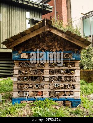 Gestapelte Paletten sind mit verschiedenen Materialien gefüllt, um für eine Vielzahl von Insekten aller Formen und Größen Lücken in verschiedenen Größen zu schaffen. Insektenhotel. Stockfoto