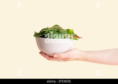 Eine weibliche Hand hält eine Schüssel mit Blattgemüse: Spinat, Rübe, Rucola auf dem gelben Hintergrund im Sonnenlicht, vegetarisches Essen, gesunde Ernährung, Nahaufnahme Stockfoto