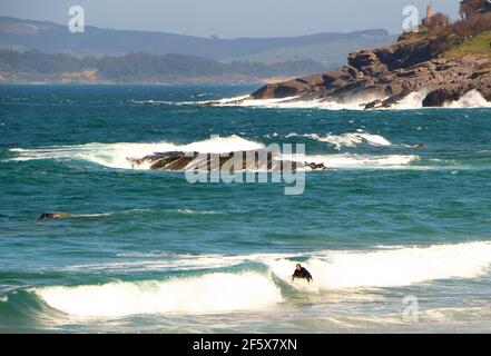 Eineige Surfer surfen am Strand in Sardinero an einem frischen, windigen Frühlingsnachmittag Santander Cantabria Spanien Stockfoto