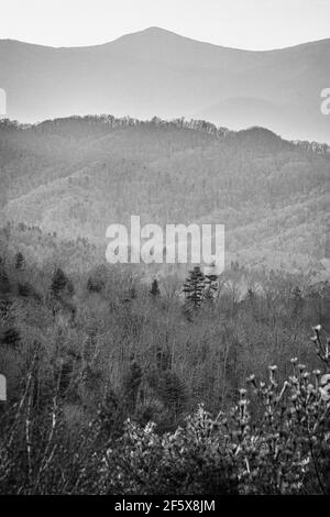 Der Interstate 26 Scenic Highway in Madison County liegt in einem der höchsten Gebiete von North Carolina und bietet einen atemberaubenden Blick auf die Appalachen. Stockfoto