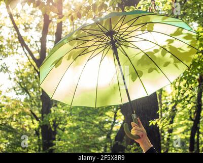 Offener Regenschirm in der Hand auf grünem Naturhintergrund mit Blattschatten. Heller Sonnenschirm im sonnigen Frühlingstag Konzept. Sommer Licht glückliche Kulisse Stockfoto