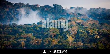 Am frühen Morgen Panoramablick über den nebligen Regenwald des Soberania Nationalparks, Provinz Colon, Republik Panama. Stockfoto