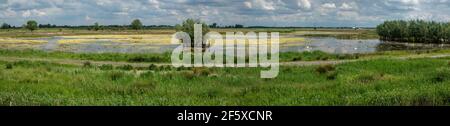 Sümpfe Feuchtgebiete und See in der Nähe von Reach Lode bei Wicken Cambridgeshire Stockfoto