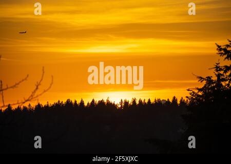 Factoria bei Sonnenuntergang am sonnigen Tag. Stockfoto