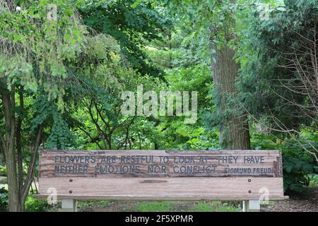 Eine Holzparkbank mit einem Zitat von Sigmund Frued vor einem bewaldeten Gebiet in Janesville, Wisconsin, USA Stockfoto