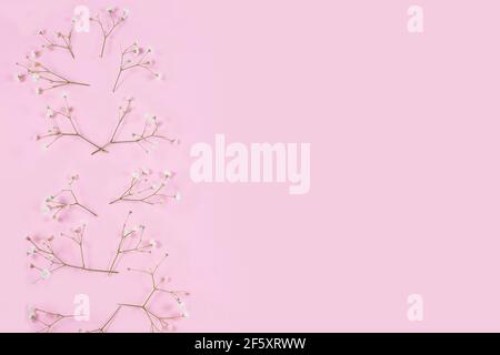 Weiße Gipsophila auf einem rosa Pastellhintergrund. Flach liegend, Draufsicht. Blumenmuster Stockfoto