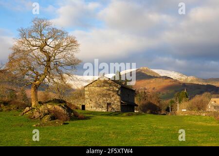 Steinscheune und schneebedeckte Berge, Ambleside, Lake District, Cumbria Stockfoto