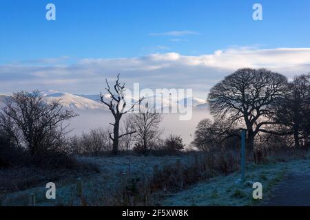 Schneebedeckte Berge des Northern Lake District, Cumbria. Eine kahle Silhouette eines toten Baumes am Ufer des Bassenthwaite Lake im Vordergrund Stockfoto