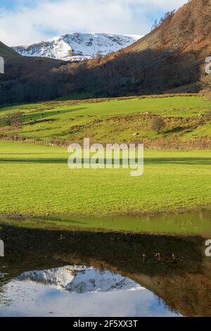 Glencoyne blickt auf die Helvellyn-Reihe von A592, Cumbria Stockfoto