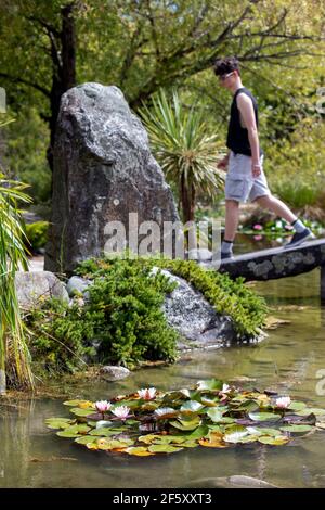 Miyazu Gardens, Nelson, Neuseeland. Stockfoto