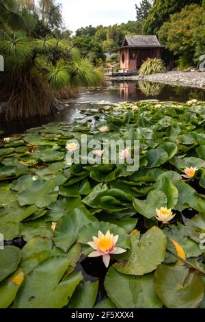 Miyazu Gardens, Nelson, Neuseeland. Stockfoto