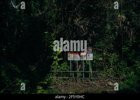 Warnschilder im Dschungel auf großer Insel, Hawaii - dez, 2020. Stockfoto