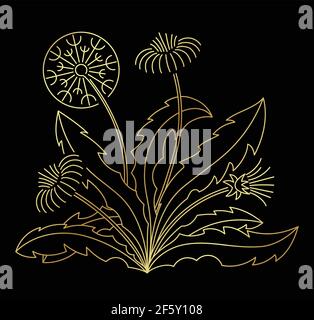 Illustration golden Vektor Linie Kunst Dandelion Stock Vektor