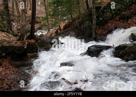 Ein wütender Bach, geschwollen durch Schneeschmelze, fließt über und über Felsen in einem Quebecer Wald im frühen Frühjahr, Gatineau, Quebec, Kanada. Stockfoto