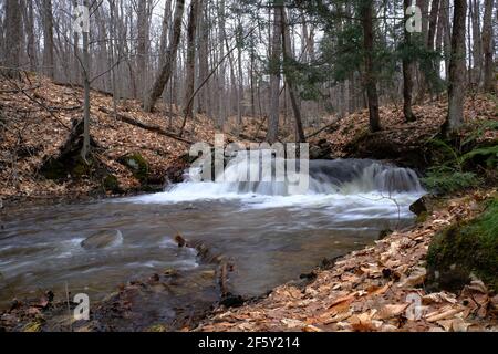 Ein kleiner Bach / Wasserfall, geschwollen durch Schneeschmelze, fließt durch einen Quebecer Wald im frühen Frühjahr. Gatineau, Quebec, Kanada. Stockfoto