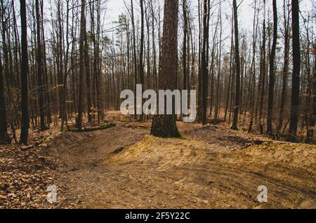 Neu gebaute Downhill-Strecke im Wald mit Sprüngen und Enge Kurven Stockfoto