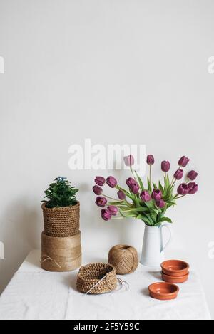 Stillleben mit halbfertigen Stricken, Knäueln, Tulpen und Zimmerpflanzen Stockfoto