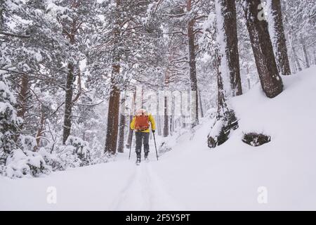 Der junge Mann trägt eine gelbe Tourenjacke und einen orangen Rucksack und fährt durch einen Schneesturm in den Wäldern der Sierra de Guadarrama Stockfoto